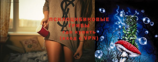 мдпв Бикин