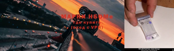 мдпв Бикин