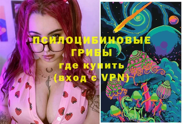 молекула духа Анива
