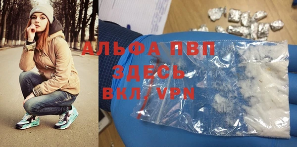 мдпв Бикин