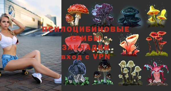 мдпв Бикин