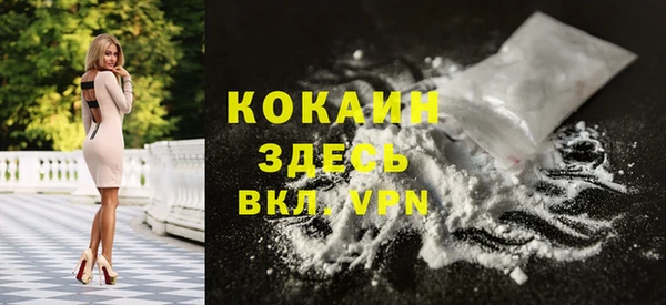 мдпв Бикин